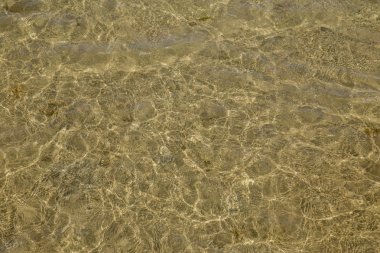 temiz deniz suyunun kumlu kıyısında kadeh kapatın