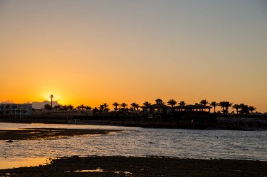 palmiye ağaçları suda ıslatın ve uzak yansıtan günbatımı gökyüzü kontrast