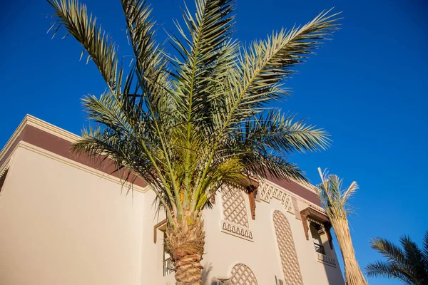 Scenic View Resort Hotel Building Greenery — Stock Photo, Image