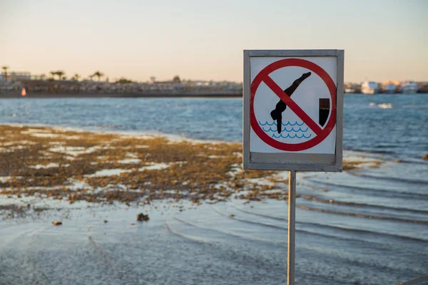 Blick Auf Warnschild Kein Tauchen Meeresufer — Stockfoto