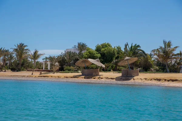 Plage Sable Avec Paumes Vertes Sous Ciel Bleu — Photo