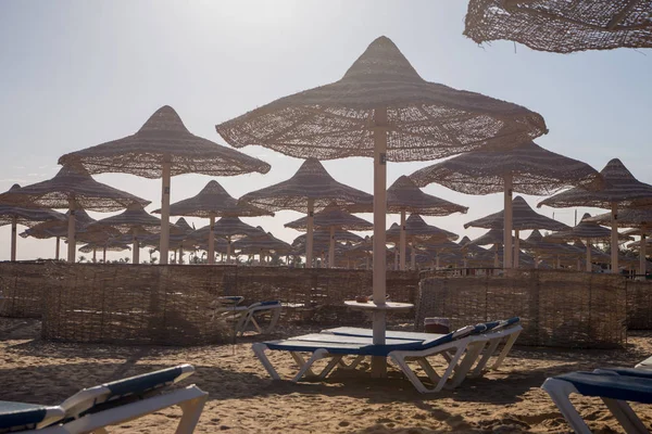 Шезлонги Солом Яні Парасольки Освітленому Сонцем Пляжі — стокове фото
