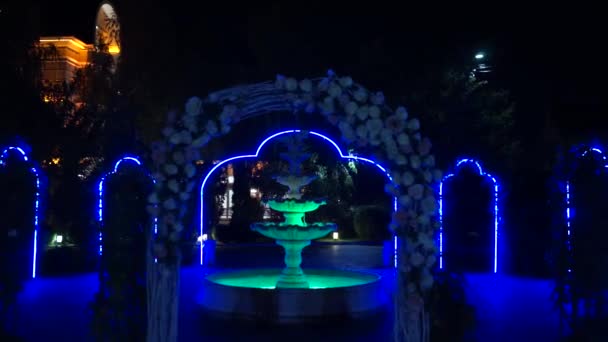 Fontaine Colorée Dans Rue Nuit — Video