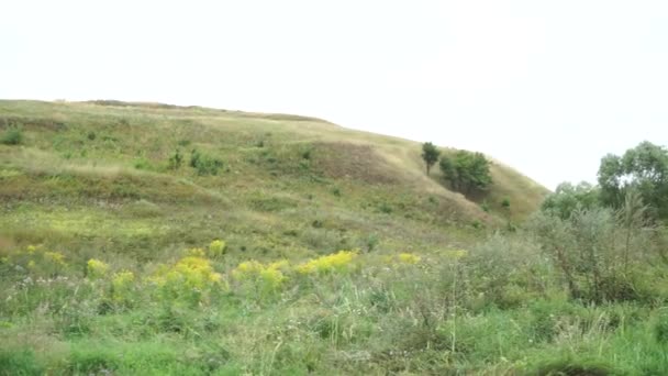 Campo Verde Verão Colinas — Vídeo de Stock