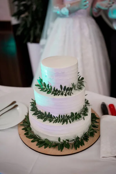 花嫁と新郎は結婚式のケーキをカット — ストック写真