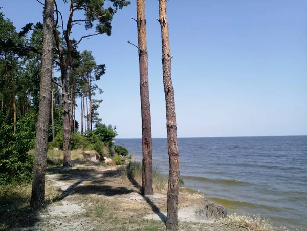 Falaise Sablonneuse Dans Forêt Près Eau — Photo