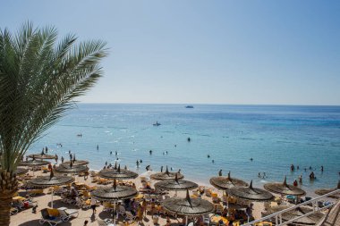 Kızıl Deniz kıyısındaki kumsal