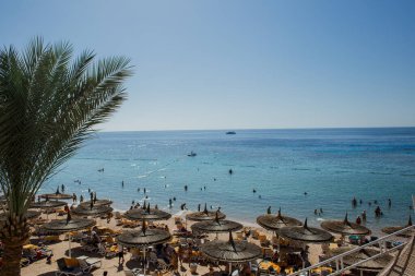 Kızıl Deniz kıyısındaki kumsal