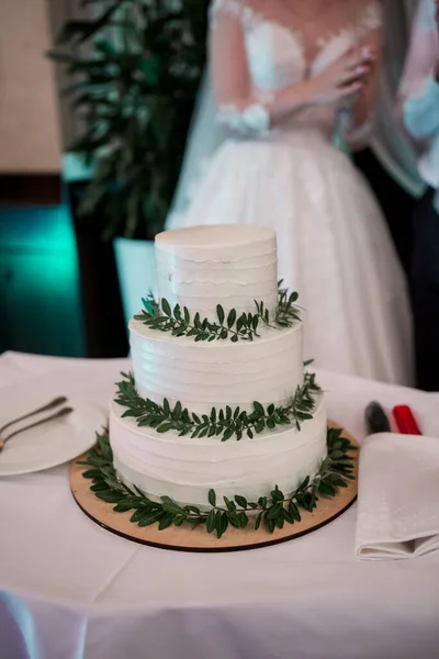 Menyasszony Vőlegény Felvágott Egy Esküvői Tortát — Stock Fotó