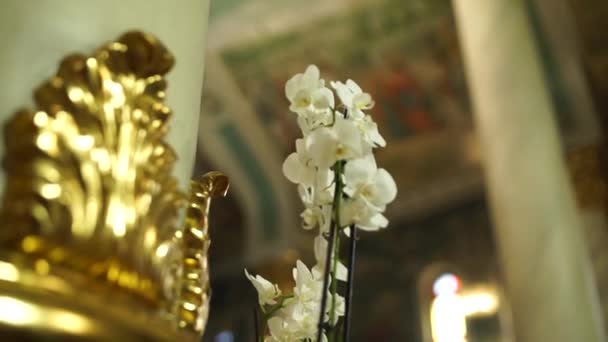 Weiße Orchideenblume Der Kirche — Stockvideo