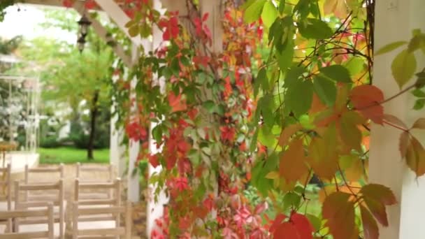 Красные Листья Осенью Беседке — стоковое видео