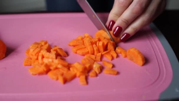 Mujer Corta Cuchillo Con Zanahorias Frescas — Vídeos de Stock