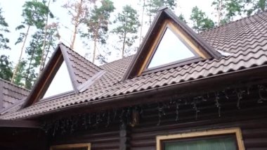 Evin çatısında, ormanın arka planında.