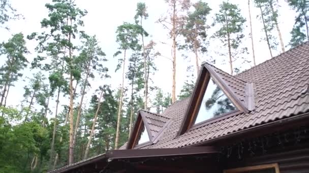 Střecha Domu Pozadí Lesa — Stock video