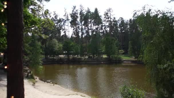 Lago Bosque — Vídeo de stock