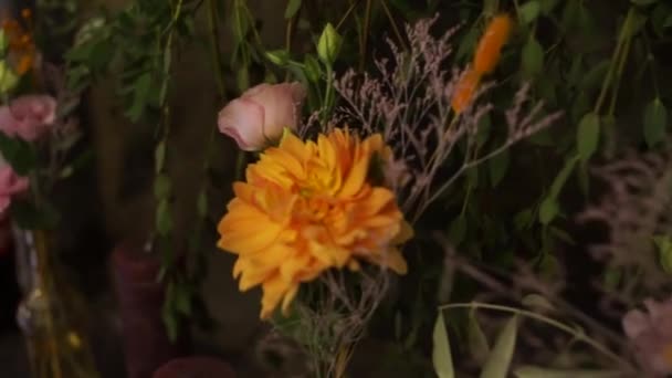 Flower Dusk Yellow — Stock Video