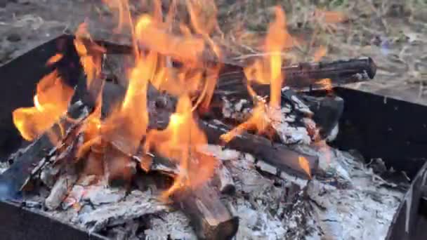 Ein Lagerfeuer Brennt Einem Grill — Stockvideo