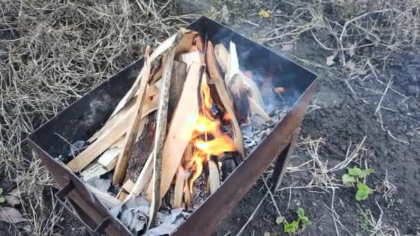 바베큐에서 불타는 화염병 — 비디오