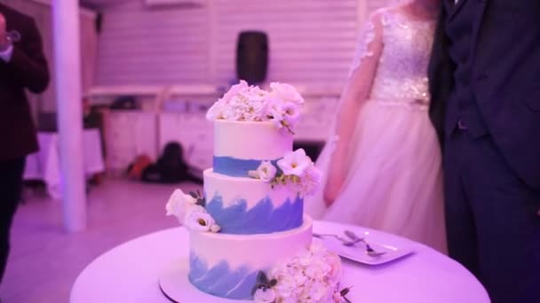 Novia Novio Cortan Pastel Bodas — Vídeos de Stock