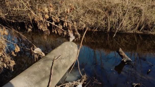 Сточные Воды Сбрасываются Пруд — стоковое видео