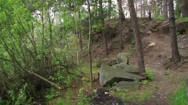 Pedreira Floresta Com Lago — Vídeo de Stock