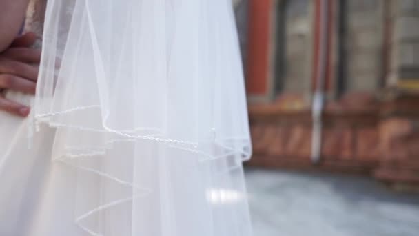 Braut Und Bräutigam Umarmen — Stockvideo