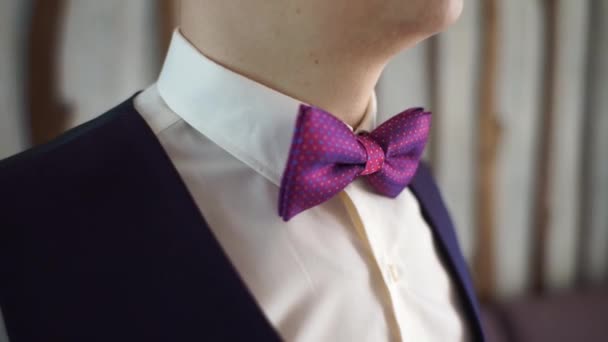 Man Straightens His Bow Tie — Stock Video