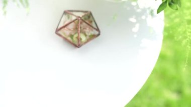 Alyanslar için cam kutu