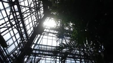 Yapraklı ve güneşli sera çatısı