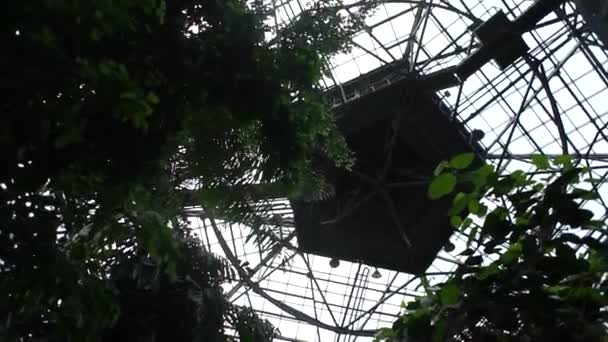 Greenhouse Roof Leaves Sun — Stock Video