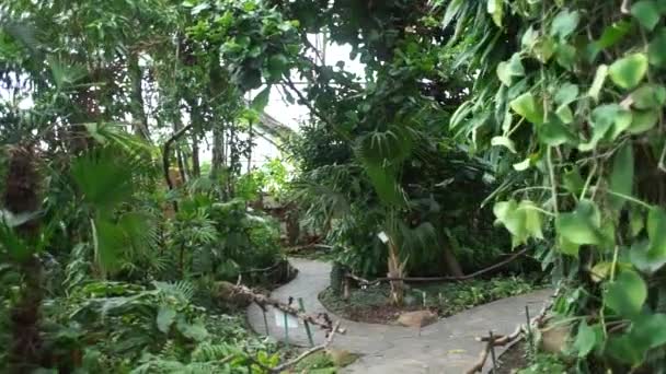 serre avec palmiers et moulages de soleil 