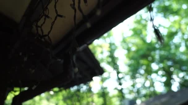 以森林为背景的建筑物的屋顶 — 图库视频影像