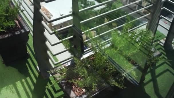 Planten Het Balkon Van Hoge Verdieping — Stockvideo