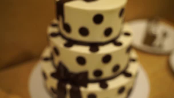 Polka Dot Wedding Cake — Stock Video