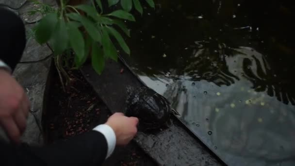 Schildpad Man Een Pak Bij Het Meer — Stockvideo