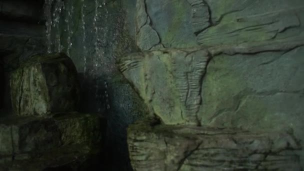 水从石头中渗出 — 图库视频影像