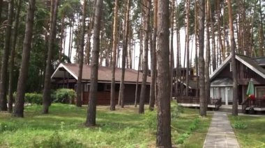 çam ormanı içinde yaz