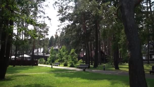 Prato Con Alberi Vicino Ristorante Nel Bosco — Video Stock