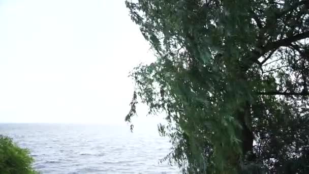 Dunkles Meerwasser Mit Wellen — Stockvideo