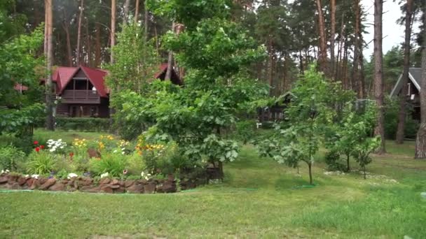 Prato Con Alberi Vicino Ristorante Nel Bosco — Video Stock