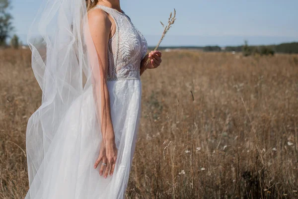 Sposa Sola Nel Campo — Foto Stock