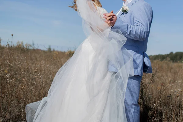 Bride Groom Field — Stock Photo, Image