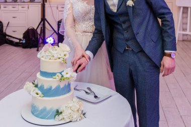 gelin ve damat ve düğün pastası