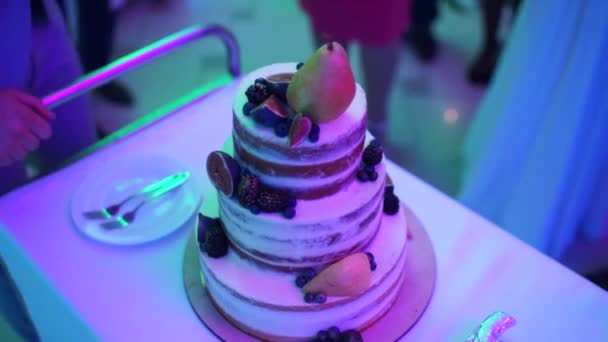 花嫁と新郎は結婚式のケーキをカット — ストック動画