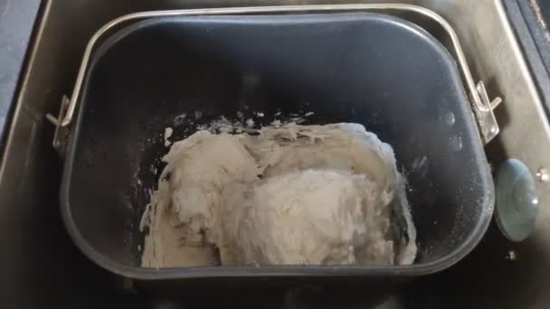 Bread Maker Kneads Dough — Stock Video