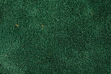 desenli yeşil kumaş dokusu