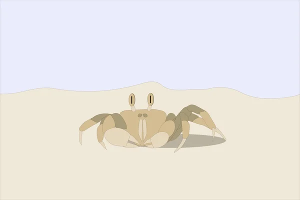 Crab Sand Sea — Stock Vector