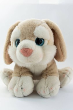 Beyaz arka planda peluş köpek