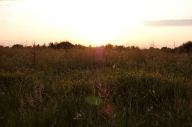 Dikenli çayırlarda güzel bir günbatımı.