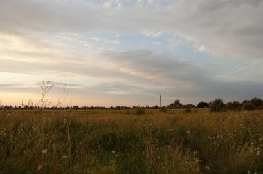 Güzel, güneşli bir gün batımı çimen ve çivili tarlada